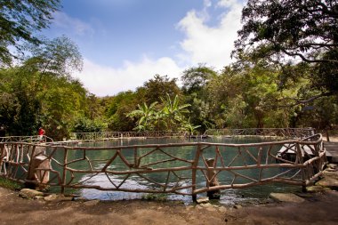 Agua Blanca Müzesi Machalilla Milli Parkı, Ekvator