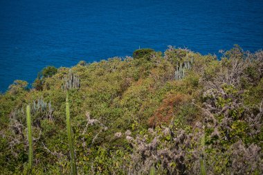 Tortuguita Beach, Machalilla Milli Parkı, Ekvador güzel manzara