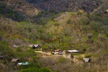 Agua Blanca Comune Machalilla Milli Parkı, Ekvator