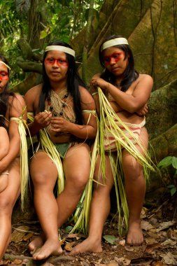 Serano kabile amazon yağmur ormanlarında, Yasuni Milli Parkı, Ecuador