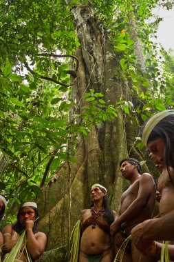 Serano kabile amazon yağmur ormanlarında, Yasuni Milli Parkı, Ecuador