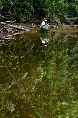 Amazon yağmur ormanlarında, Yasuni Milli Parkı, Ekvador Kano