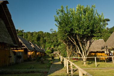 Ekolojik lodge amazon yağmur ormanlarında, Yasuni Milli Parkı, Ecuador