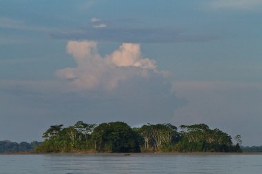 Güzel manzara amazon yağmur ormanı, Yasuni Milli Parkı, Ecuador
