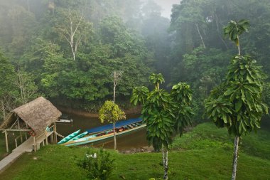 Ecological lodge in amazon rainforest, Yasuni National Park, Ecuador clipart