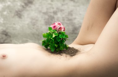 çıplaklık ve çiçek