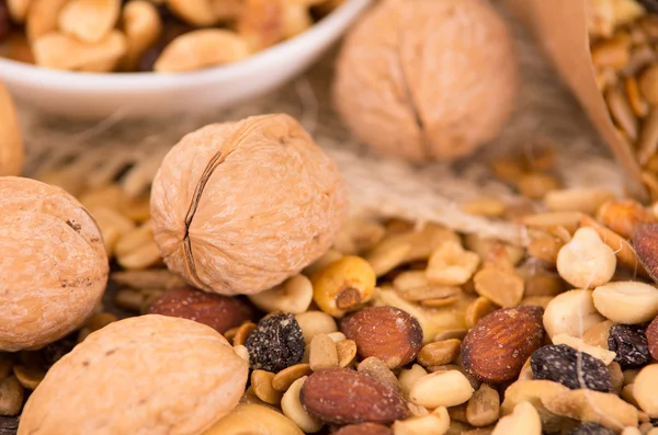 Walnuts and other nuts — Stock Photo, Image