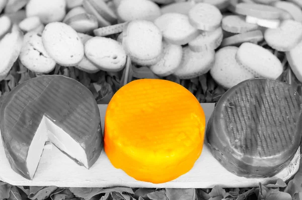 Black and white photo of three cheeses placed on wooden board, cheese in middle has a strong yellow color — Zdjęcie stockowe