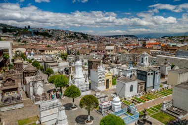 Overview of cemetary San Diego showing typical catholic graves with large gravestones and stoned pathway green trees, city background