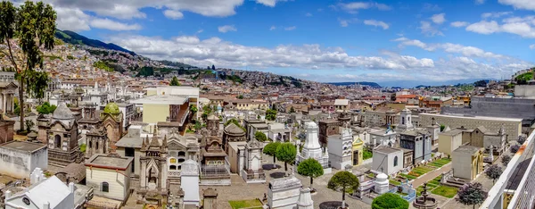 Spectacular overview of cemetary San Diego showing typical catholic graves with large gravestones and stoned pathway green trees, city background — стокове фото
