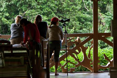 Kimliği belirsiz turist balkon, Yasuni Milli Parkı, Ekvador Amazon yağmur ormanları düşünürken