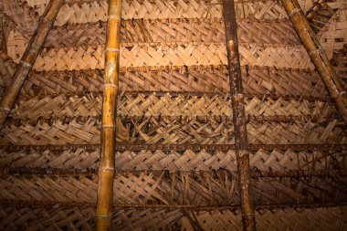 Tipik rustik tavan çatı kulübe kabin amazon yağmur ormanlarında, Yasuni Milli Parkı, Ecuador