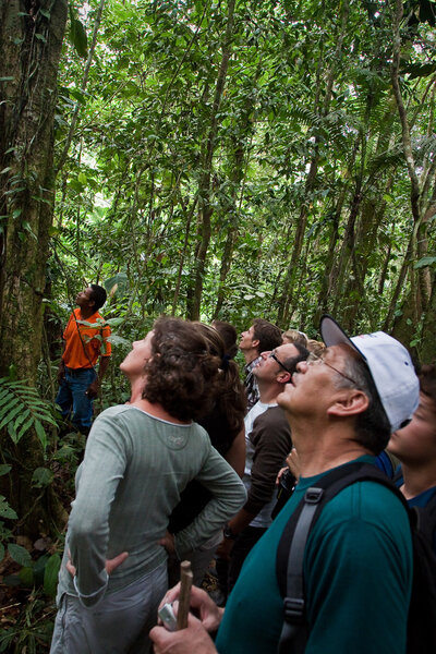 Unidentified tourists on a tour trekking the amazon rainforest, Yasuni National Park, Ecuador