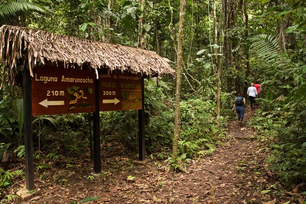 Unidentified tourists on a tour trekking the amazon rainforest, Yasuni National Park, Ecuador — Stock Photo, Image