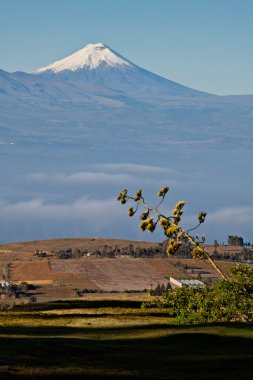 Heybetli Cotopaxi yanardağ, Ecuador