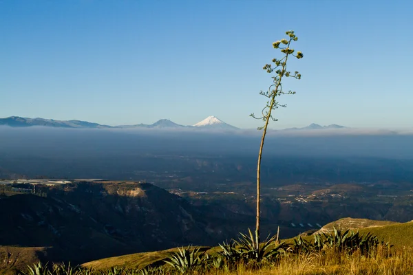 มุมมองที่ราบสูงที่น่าทึ่งกับ Cotopaxi ในขอบฟ้า — ภาพถ่ายสต็อก