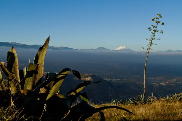 Increíble paisaje andino con Cotopaxi en el fondo — Foto de Stock