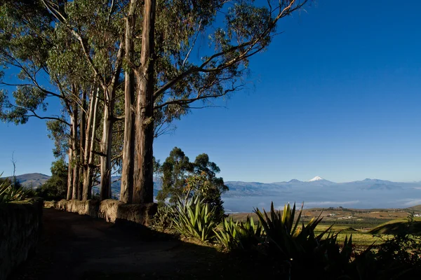 Beautiful dry landscape of the andean highlands in Ecuador — Stock Photo, Image