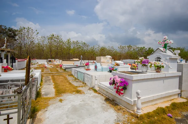 Cementeria tradizionale lungo la strada della Panamerican Highway a Panama — Foto Stock