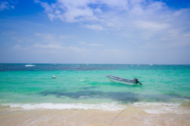 Isla Bocas del Toro eyaletinde Panama, Zapatilla
