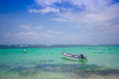 Isla Bocas del Toro eyaletinde Panama, Zapatilla