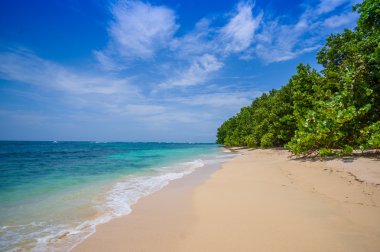 Isla Bocas del Toro eyaletinde Panama, Zapatilla