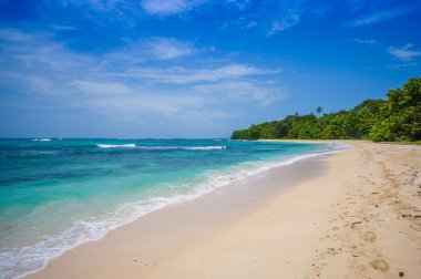Isla Bocas del Toro eyaletinde Panama, Zapatilla