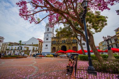 Panama Katedrali, Sal Felipe eski çeyrek, Unesco Dünya Mirası, Panama City, Panama, Orta Amerika