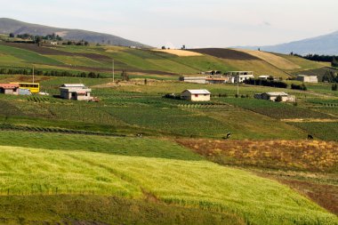 Güzel kırpma alanı tarlaları Oyacachi, Ecuador