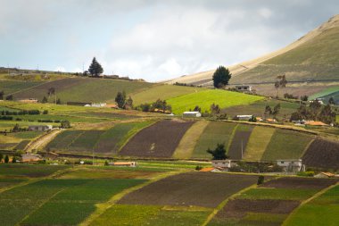 Güzel kırpma alanı tarlaları Oyacachi, Ecuador