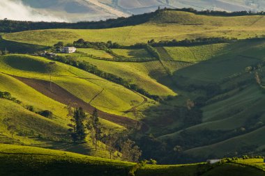 Güzel andean peyzaj görünümünden Nono, Ecuador