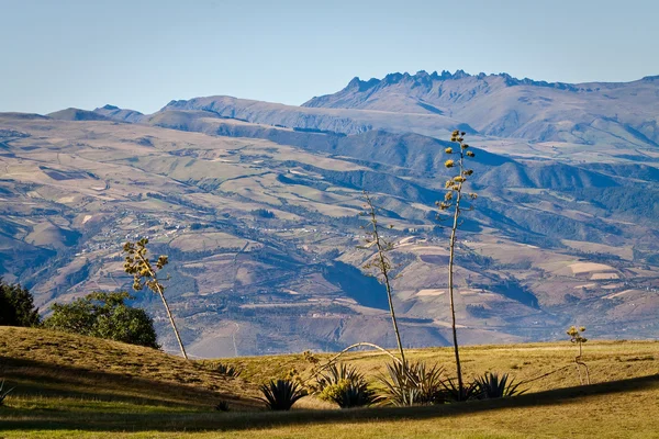 Güzel andean peyzaj Cochasqui arkeolojik Park, Ecuador — Stok fotoğraf