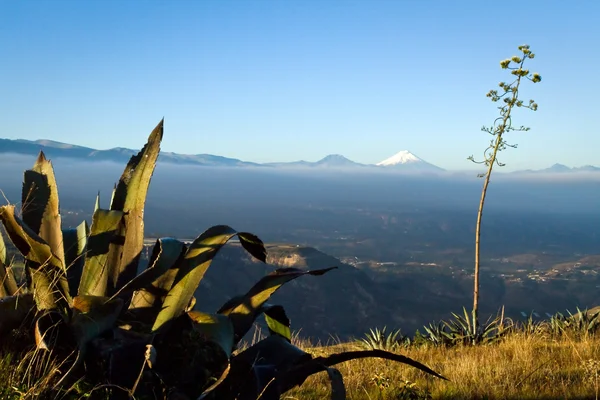 Paisaje de las tierras altas ecuatorianas con Cotopaxi al fondo — Foto de Stock