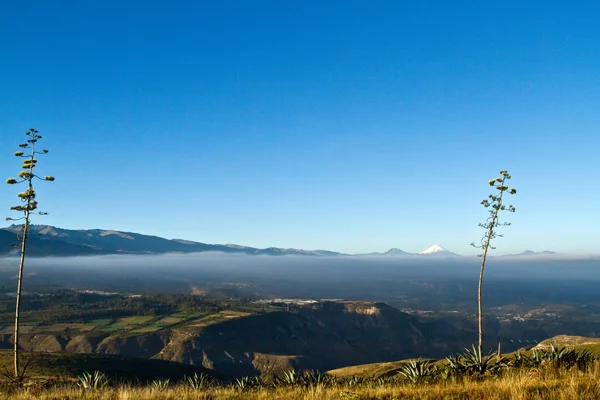 Landschaft des ecuadorianischen Hochlandes mit Cotopaxi im Hintergrund — Stockfoto