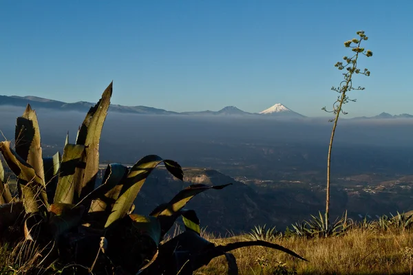 Manzara Cotopaxi ile Ekvador Highlands içinde belgili tanımlık geçmiş — Stok fotoğraf