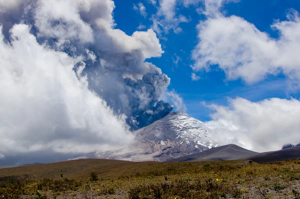 Etkin Cotopaxi yanardağ patlayan