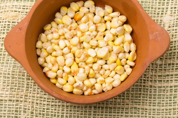 Cut sweet white corn inside ceramic bowl — Stockfoto