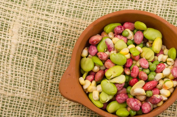 Ceramic terracota bowl with mix of corn, lima and kidney beans — Stock Photo, Image