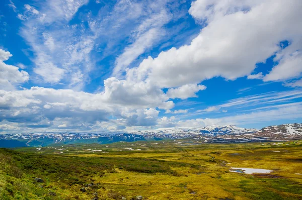 Valdres, norwegen - 6. juli 2015: atemberaubende natur auf valdresflya, grüne bewachsene landschaft erstreckt sich so weit das auge reicht mit schneeflecken und seen unter wunderschönem blauen himmel — Stockfoto