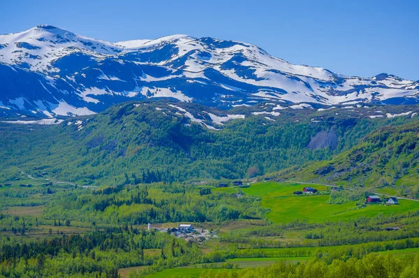 Valdres, norwegen - 6. juli 2015: atemberaubende natur auf valdresflya, grüne bewachsene landschaft erstreckt sich so weit das auge reicht mit schneeflecken und seen unter wunderschönem blauen himmel — Stockfoto