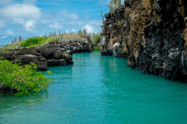 Galapagos Adaları'nda Santa Cruz, Puerto Ayora jeolojik Kanyon oluşumunda güzel dönüm noktası Las Grietas olduğunu