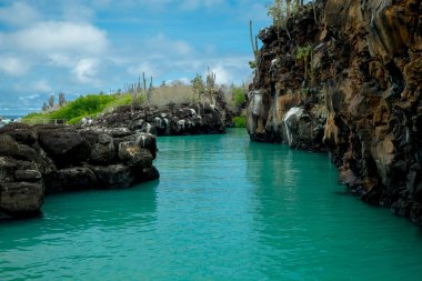 Galapagos Adaları'nda Santa Cruz, Puerto Ayora jeolojik Kanyon oluşumunda güzel dönüm noktası Las Grietas olduğunu