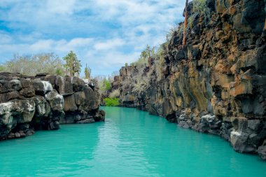 Galapagos Adaları'nda Santa Cruz, Puerto Ayora jeolojik Kanyon oluşumunda güzel dönüm noktası Las Grietas olduğunu