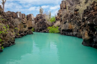 Galapagos Adaları'nda Santa Cruz, Puerto Ayora jeolojik Kanyon oluşumunda güzel dönüm noktası Las Grietas olduğunu