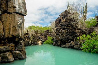 Galapagos Adaları'nda Santa Cruz, Puerto Ayora jeolojik Kanyon oluşumunda güzel dönüm noktası Las Grietas olduğunu
