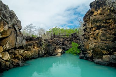Galapagos Adaları'nda Santa Cruz, Puerto Ayora jeolojik Kanyon oluşumunda güzel dönüm noktası Las Grietas olduğunu