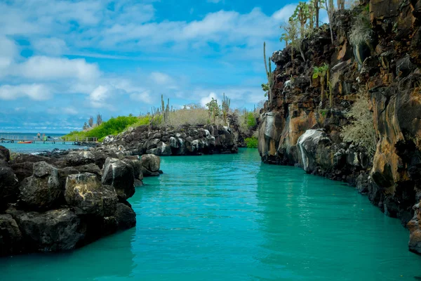 Galapagos Adaları'nda Santa Cruz, Puerto Ayora jeolojik Kanyon oluşumunda güzel dönüm noktası Las Grietas olduğunu