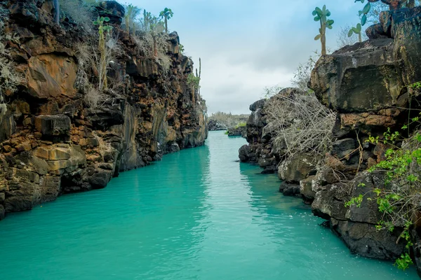 Gyönyörű Las Grietas látványossága a geológiai canyon-formációban, a Galápagos szigetek Santa Cruz, Puerto Ayora — Stock Fotó