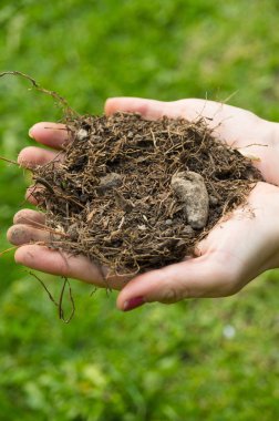 Yukarıdan ateş toprak, yeşil çimenli arka plan yığını tutan el