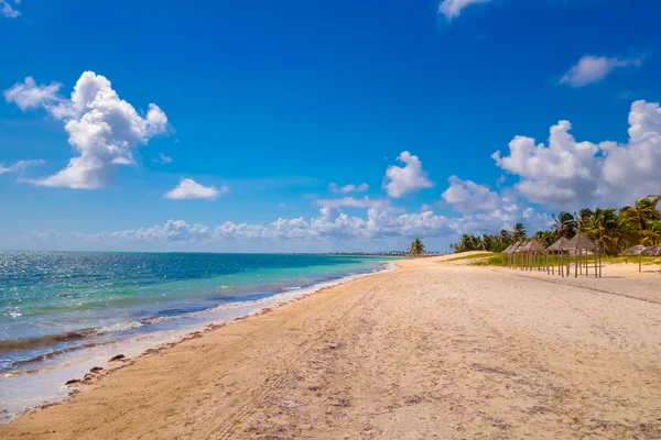 Playa Santa Lucia, Provincia de Camagüey, Cuba — Foto de Stock